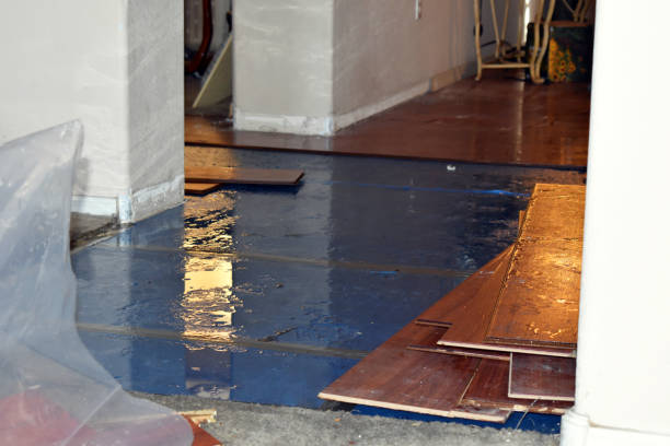 Professional Basement Flood Cleanup technician working in Brightwood, OR